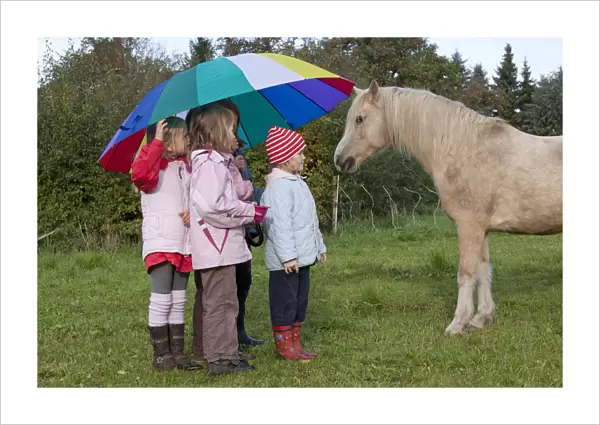 Girls with a large umbrella looking at a horse