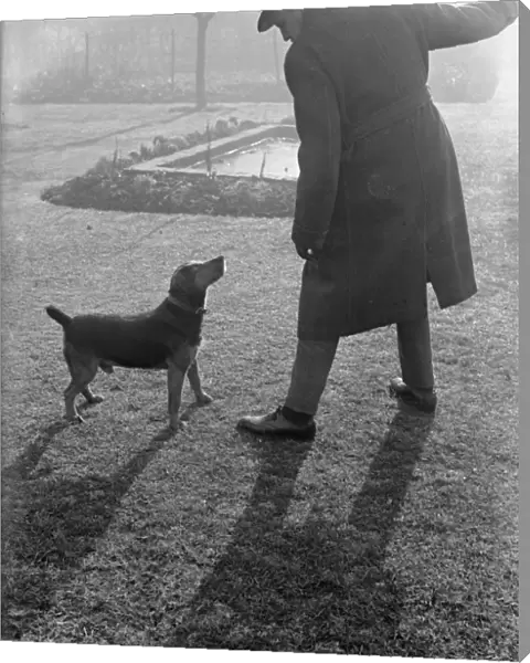 Bad Dog. circa 1930: The sun is low in the sky when a man takes his dog