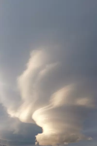 Lenticular cloud over Kluane Park