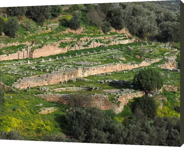 General View of Delphi Sanctuary Dedicated to Athena Pronea