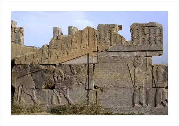 Bas-relief of lion devouring bull, Persepolis