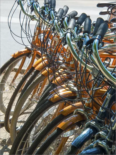 Stack of Identical Bicycles