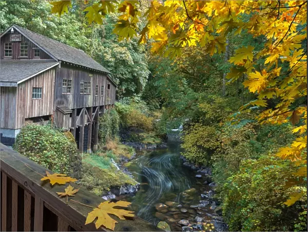 Autumn at Cedar Creek Grist Mill