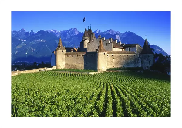 Switzerland, vineyard & Chateau d Aigle