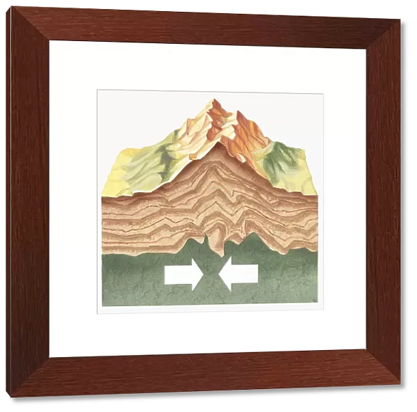 Cross section illustration showing tectonic plates colliding and pushing up to form mountains