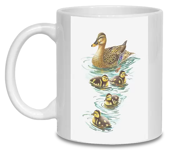 Illustration of mallard duck with ducklings