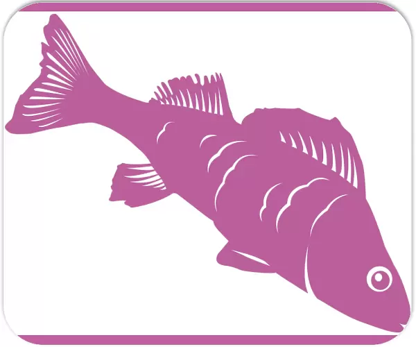 Digital illustration of pink fish on white background