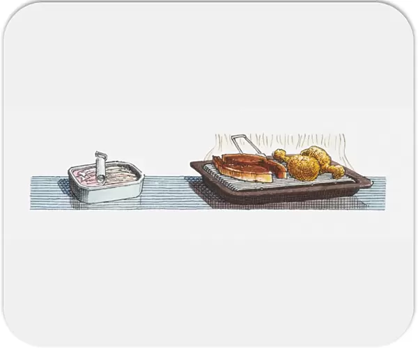 Illustration of open tin of sardines, pork chops and chicken drumsticks on grill tray