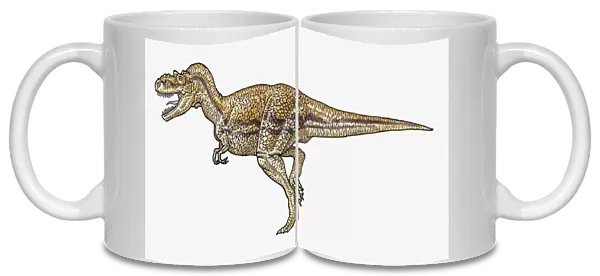 Illustration of Albertosaurus tyrannosaurid theropod dinosaur