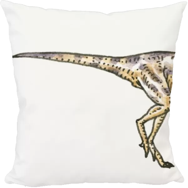 Illustration of Wannanosaurus basal pachycephalosaurian dinosaur