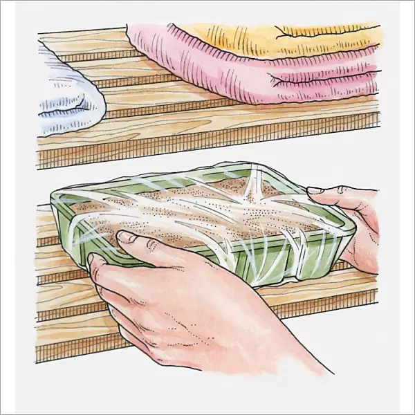 Illustration of putting seed tray covered with polythene in airing cupboard