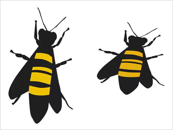 Digital illustration of yellow and black striped bees