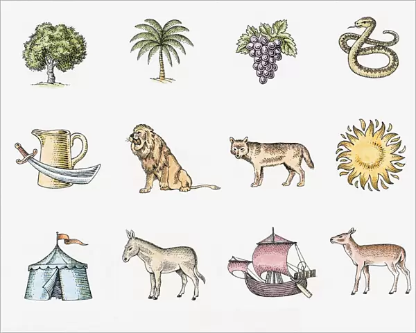 Illustration of the twelve symbols of the tribes of Israel, The sun, pitcher with sword, lion, ship, donkey, snake, round tent, tree, fawn, bunch of black grapes, palm tree, and wolf