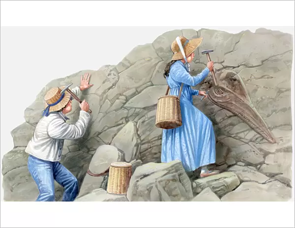 Illustration of two 19th Century children using hammers to remove fossils from rock