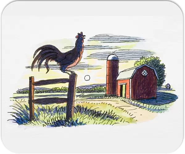 Rooster on gate post, in front of farm building and rising sun