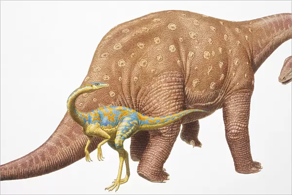 Comparative size between large and small dinosaurs