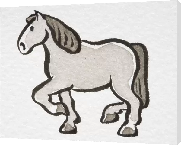 Illustration, trotting Horse (Equus caballus ), side view
