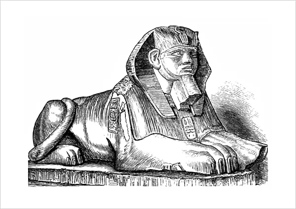Sphinx. Vintage engraving of the Sphinx