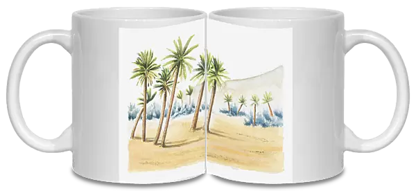 Illustration of palm trees in sand