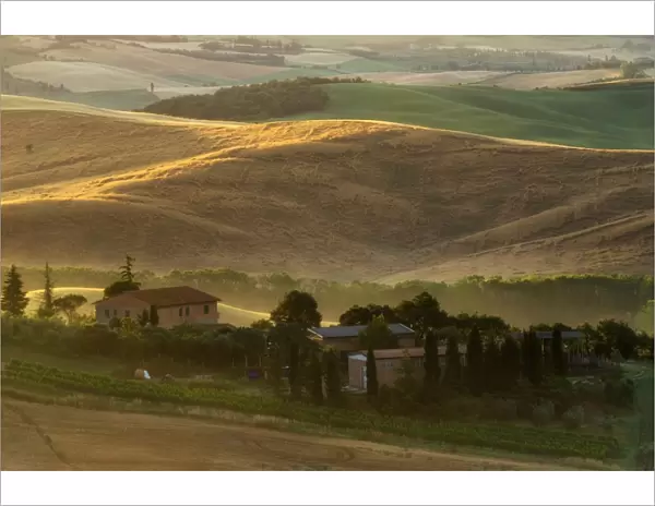 Tuscany Field in Summer Season