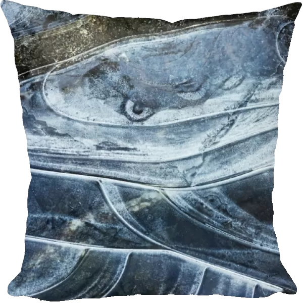 Ice Serpent - River Sligachan Ice Abstraction #7