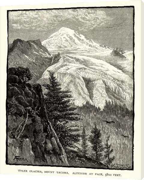 Taylor Glacier, Mount Rainier, 19th Century