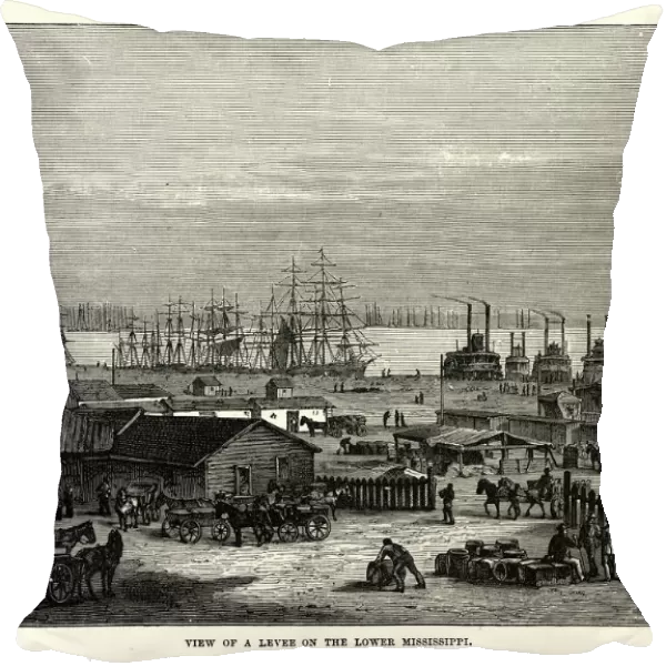 Levee on the Lower Mississippi, 19th Century