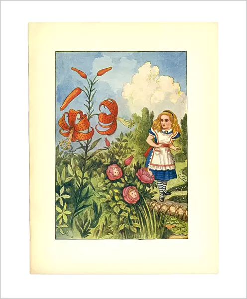 Talking flowers illustration, (Alices Adventures in Wonderland)