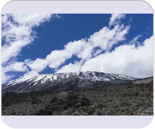 View of Kibo peak from Pofu Buffalo Camp, Northern Circuit, Mount Kilimanjaro, Kilimanjaro Region, Tanzania