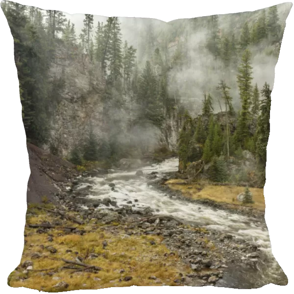 Firehole River and steam, Firehole Canyon, Yellowstone National Park, Montana, Wyoming, USA