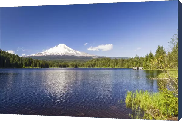 Mt. Hood reflecting in Trillium Lake in Mt Hood National Forest, Hood River County, Oregon, USA