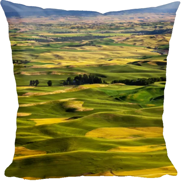 Landscape with green fields, Palouse, Washington State, USA
