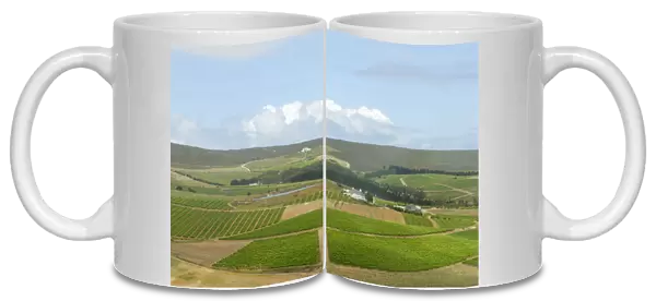 Agriculture, Cloud, Cultivated, Field, Green, Hemel-En-Aarde Valley, Hermanus, Horizon Over Land