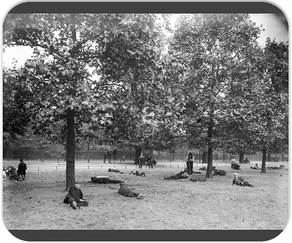 Park Rest. Unemployed men relax under the trees at St James Park in London
