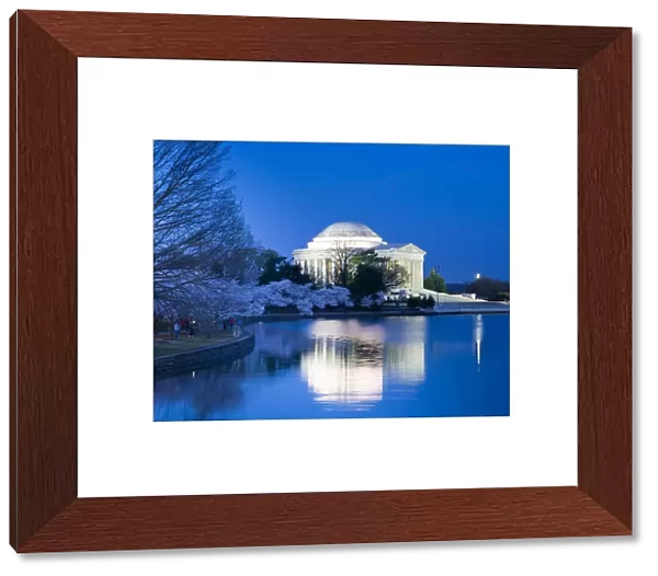 Capitols. Jefferson Memorial Reflection at Dawn with Cherry Blossoms - Washington D.C