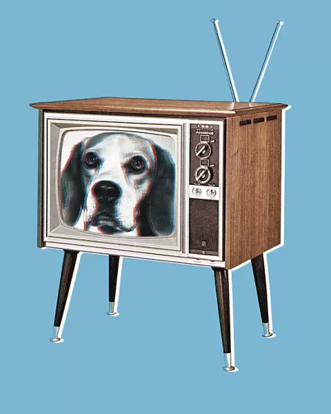Television Set