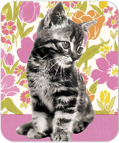 Kitten on a Floral Background