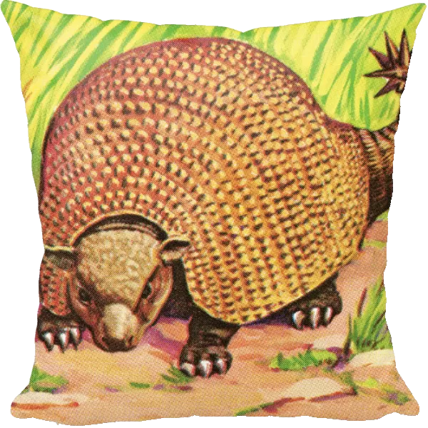 Armadillo. http: /  / csaimages.com / images / istockprofile / csa_vector_dsp.jpg