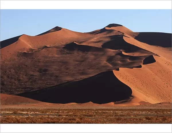 Sand dunes, evening light, Sossusvlei, Namib Desert, Namib-Naukluft National Park