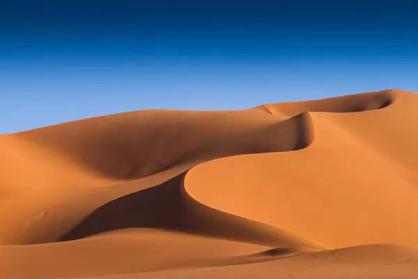 Silky Golden Dunes (Algerian Sahara)
