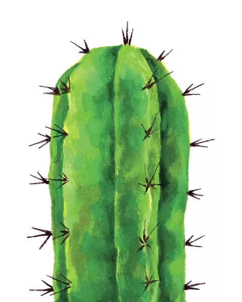 Cactus Painting
