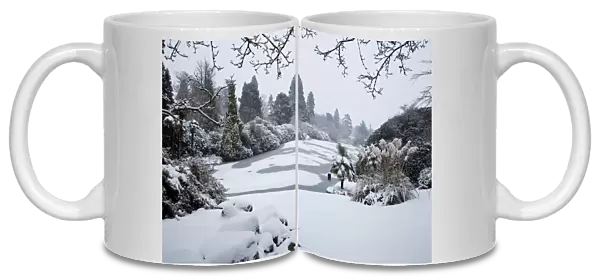Sheffield Park Gardens in the snow