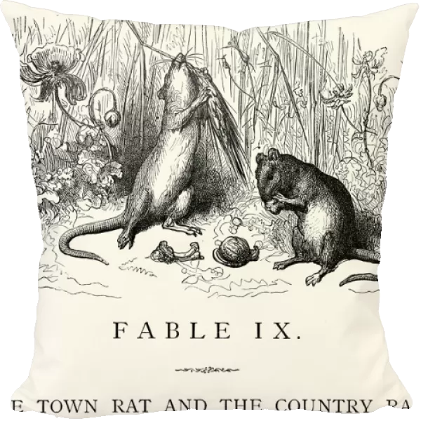 La Fontaines Fables - The Town Rat