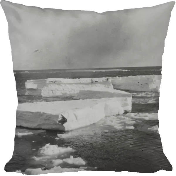 The ice in which the Discovery was held fast