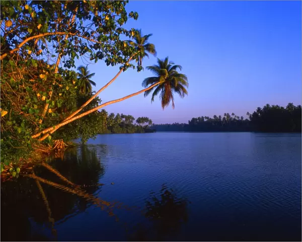 Tropical islands. Sri Lanka. Koskoda