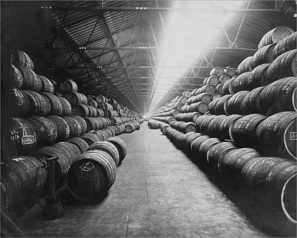 10000 barrels of rum in store at West India Docks, London, England undated