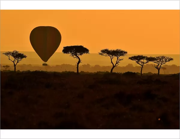 Kenya-Animals-Migration