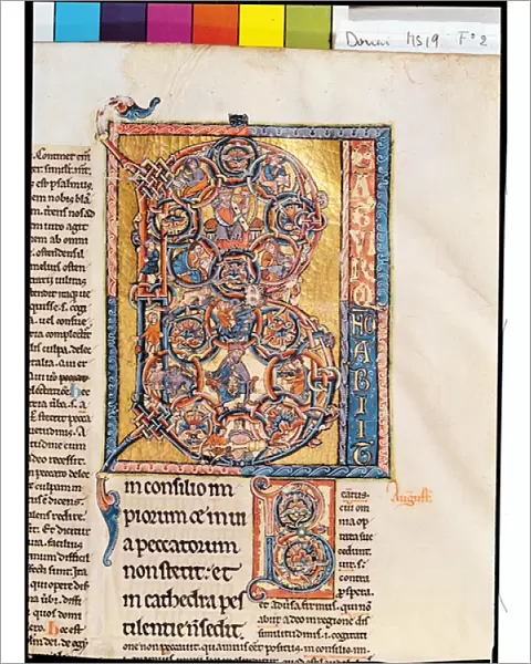 Ms 19 fd2 Historiated initial B depicting King David, from the Marchiennes