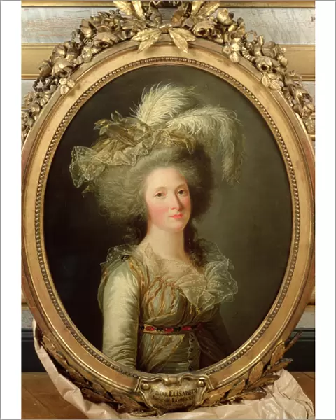 Elisabeth of France (1764-94) called Madame Elisabeth, 1788 (oil on canvas)