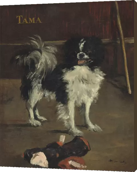 Tama, the Japanese Dog, c. 1875 (oil on canvas)